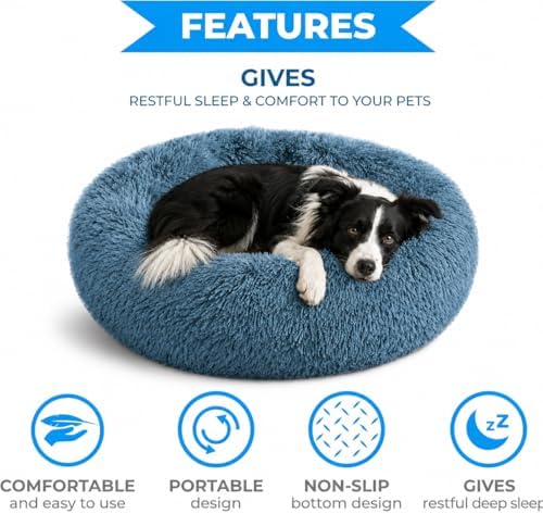 Whiskers & Friends Round Dog Beds - Image 3