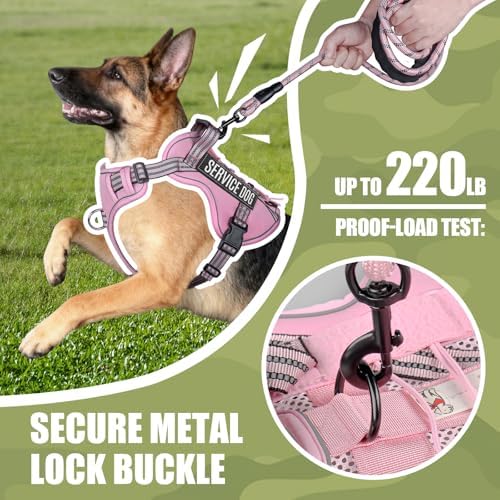 Dog Harness and Leash Set for Medium Dogs, No Pull Tactical Dog Harness - Image 4