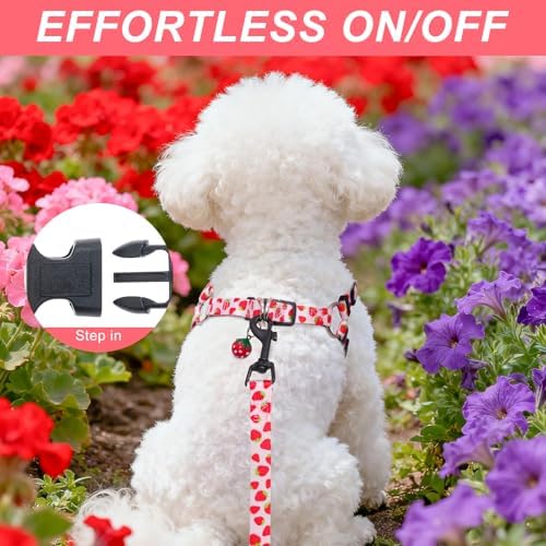 BEAUTYZOO Dog Harness Small Sized Dog Girl, No Pull Dog Harness and Leash Set - Image 5
