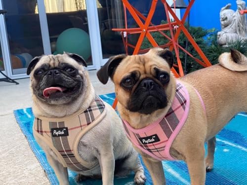 PUPTECK Small Dog Harness and Leash Set No Pull - Image 6