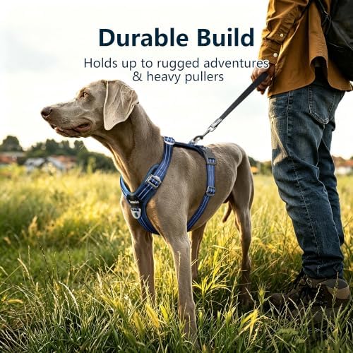 No Pull Dog Vest Harness Large Medium Small Sized Dog Friendly - Image 7
