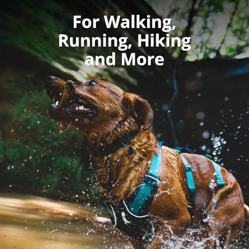 Ruffwear, Flagline Dog Body Harness, Sage Green - Image 3