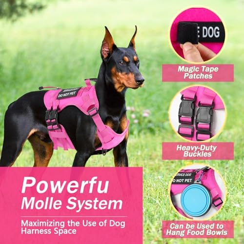 No Pull Tactical Dog Harness for Large Dogs, Service Dog Vest - Image 3