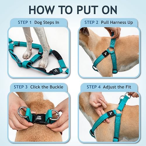 Kruz No Pull Dog Harness Heavy-Duty Pet Harness - Image 5