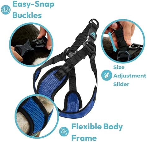 Gooby Comfort X Step-in Lite Harness, Choke-Free, Flamingo Pink - Image 4