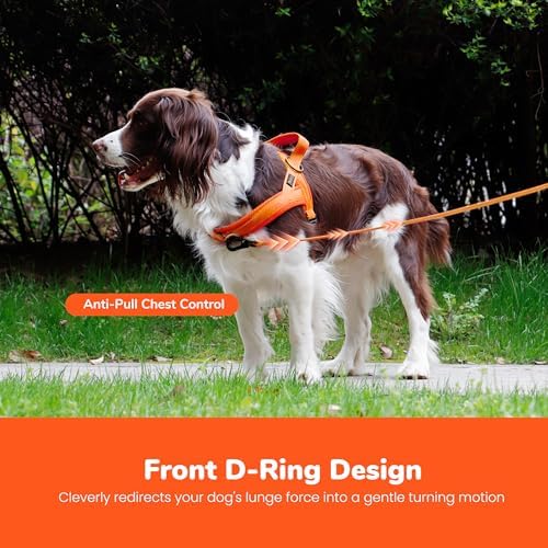 Didog No Pull Dog Harness for Small Dogs, Breathable Mesh Padded - Image 5