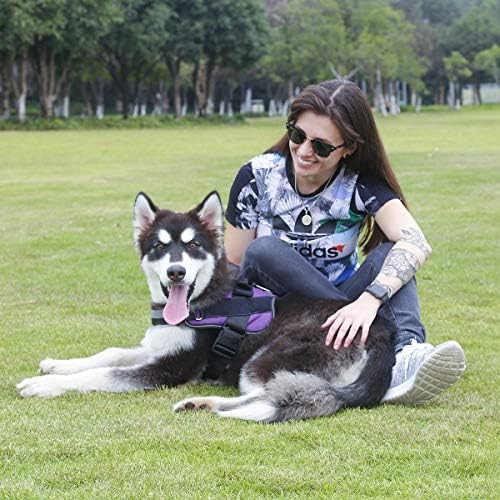 Bolux Dog Harness, No-Pull Reflective Dog Vest, Breathable Adjustable Pet - Image 5