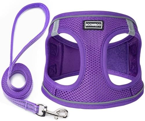 Dog Harness with Leash Set, Step-in Adjustable Puppy Pet Vest by BOOMIBOO