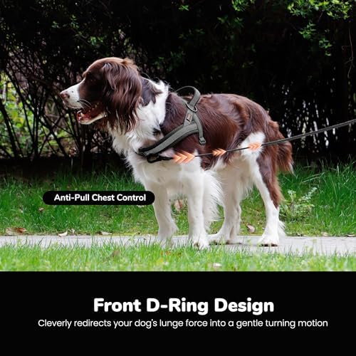 Didog No Pull Dog Harness for Medium Dogs, Breathable Mesh Padded - Image 5