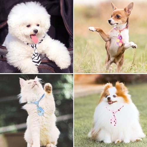 Segarty 60 PCS Small Dog Ties, Assorted Pattern Adjustable Pet Bow Ties for Small Dogs Bows Cats Grooming Bowties Puppy Neckties Festival Party Valentine Photography Birthday Gift Holiday Costumes - Image 6