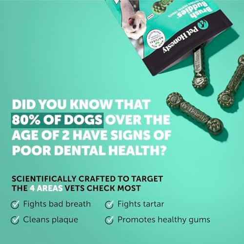 Pet Honesty Brush Buddies Vet Backed Dog Dental Chews - Image 2