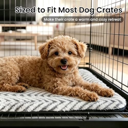 Mora Pets Cat Beds for Indoor Cats Washable Cat Mat Bed Flat Dog Crate Pad - Image 3