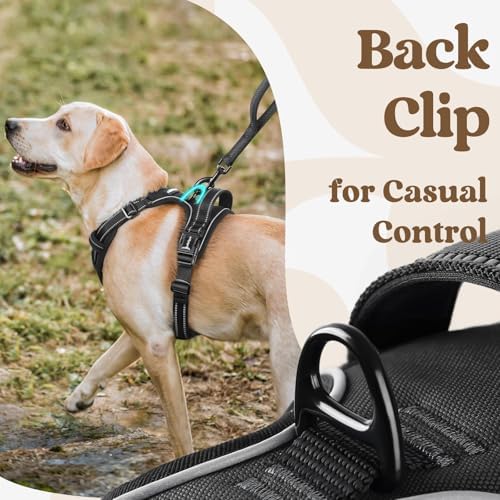 rabbitgoo Dog Harness Medium Sized, Updated Easy On & Off - Image 6