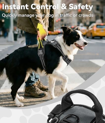 Joytale No Pull Dog Harness for Large Dogs, Front Clip - Image 3