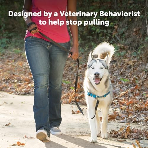 PetSafe Easy Walk Deluxe Dog Harness, No Pull Dog Harness – Perfect - Image 3