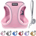 Solmoony Sparkly Medium Dog Harness and Leash Set, Step in Soft Light Puppy Vest by SOLMOONY