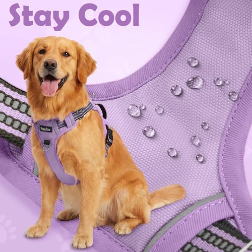 Funfox Dog Harness No Pull, Adjustable Pet Vest Harness, Super Soft Material - Image 6