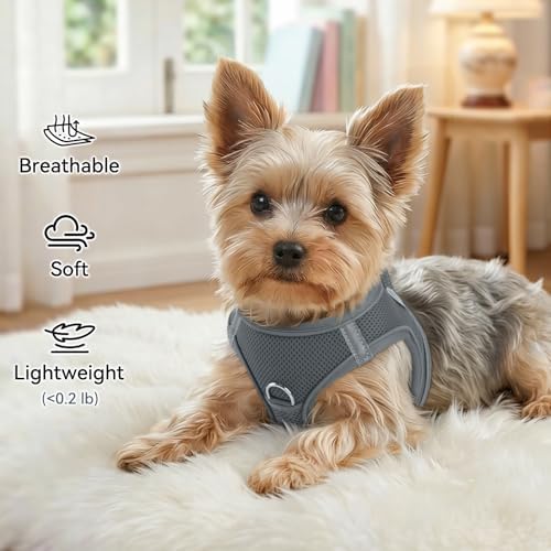 Joytale Step-in Dog Harness, Soft Breathable Mesh - Image 4