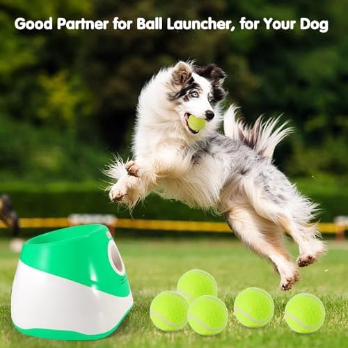 MEKAPLE 6 Pack Mini Tennis Balls - Image 3
