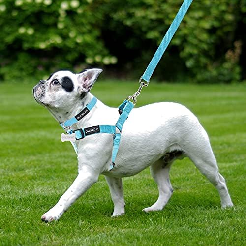 No Pull Dog Harness, Leash & Collar Set, Adjustable Step-in Vest - Image 5