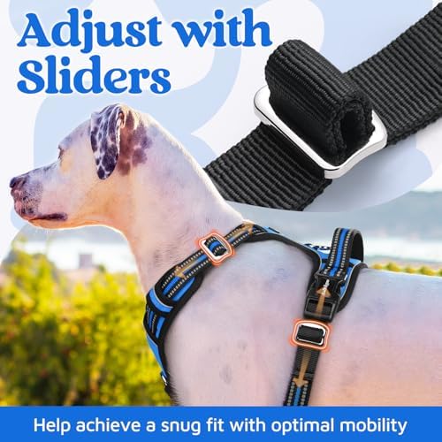 rabbitgoo Dog Harness Medium Sized, No Pull 3 Buckles Easy On & Off - Image 5