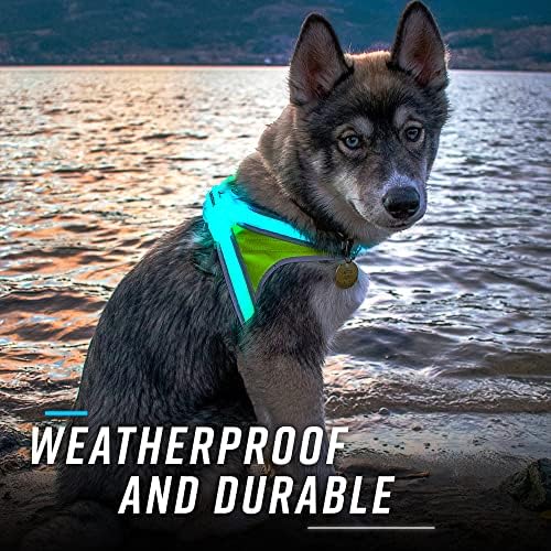 noxgear LightHound Light Up Reflective Dog Harness - Image 4