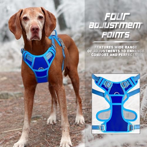 BARKBAY Dog Harness No Pull for Medium Sized Dog Front Back Clips, Dog Vest - Image 6