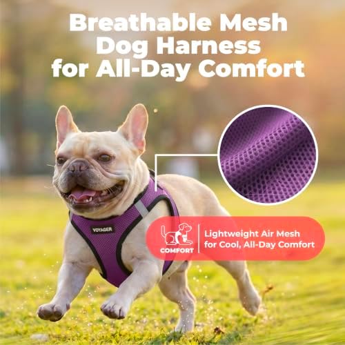 Voyager Step-in Air Dog Vest Harness - Image 5