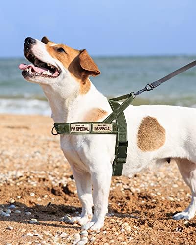 No Pull Dog Harness for Small Medium Large Sized Dogs, Escape Proof Adjustable - Image 5