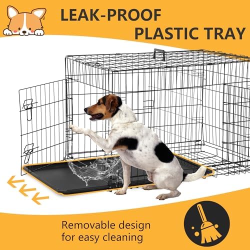 FDW | 36" Foldable Metal Dog Crate | Black | Cage - Image 5