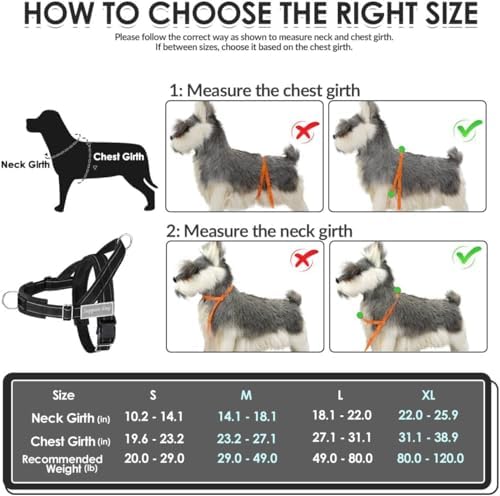 SlowTon No Pull Dog Harness and Leash Set - Image 6
