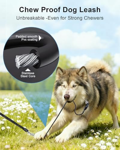 dyTrek 26 ft Retractable Dog Leash - Image 5