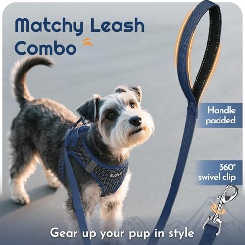 Eagloo Small Dog Harness and Leash Set, Step in Extra Small Puppy Pet Vest - Image 6