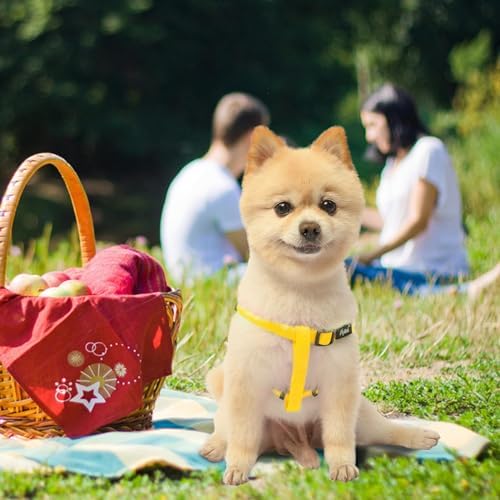 PUPTECK No Pull Dog Harness Small Sized Step-in Adjustable Puppy Vest - Image 6