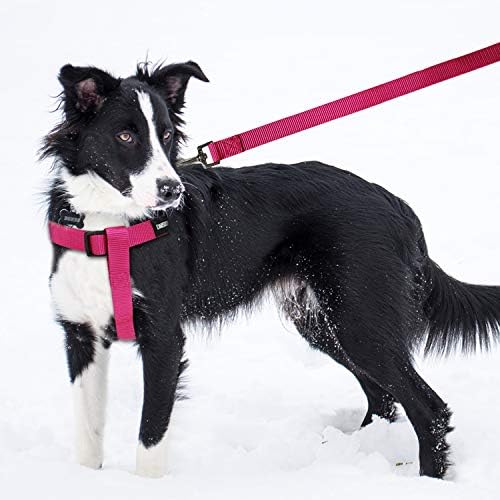 No Pull Dog Harness, Leash & Collar Set, Adjustable Step-in Vest - Image 5