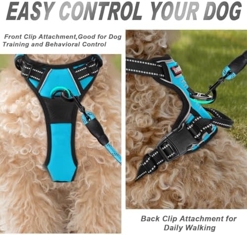 BARKBAY Dog Harness No Pull for Small Sized Dog Front Back Clips, Dog Vest - Image 2