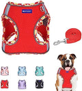 Step in Mesh Dog Harness and Leash Set Breathable Air Mesh Harness by BTDCFY