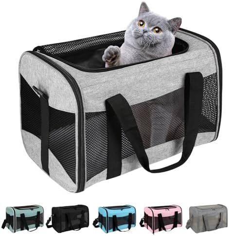 Cat Carrying Case by home
