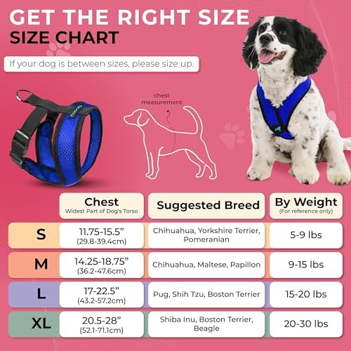 Gooby Comfort X Head-in Dog Harness, Choke-Free - Image 5
