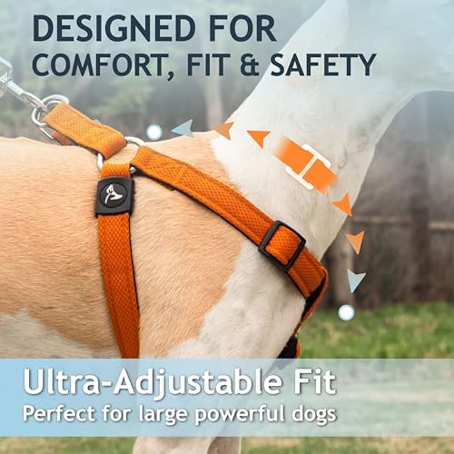 Kruz No Pull Dog Harness Heavy-Duty Pet Harness - Image 4