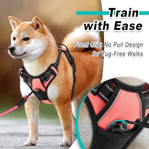 BARKBAY Dog Harness for Small Sized Dog No Pull 2 Leash Clips Dog Vest - Image 2