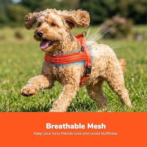 Didog No Pull Dog Harness for Small Dogs, Breathable Mesh Padded - Image 2