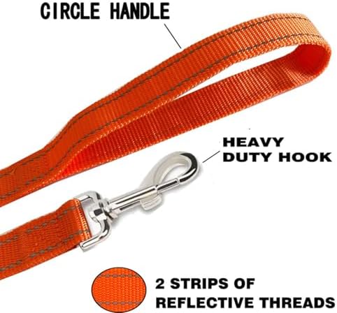 Reflective Dog Leash 4Ft /6 Feet Long, 3/4 Inch Wide, - Image 4