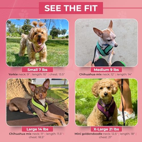 Gooby Comfort X Head-in Dog Harness, Choke-Free, Flamingo Pink - Image 4