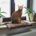 Pretty Kitty Cozy Window Cat Bed by Pretty+Kitty