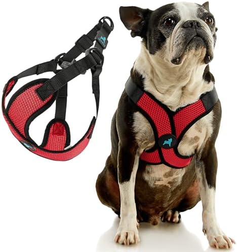 Gooby Comfort X Step-in Lite Harness, Choke-Free - Image 3