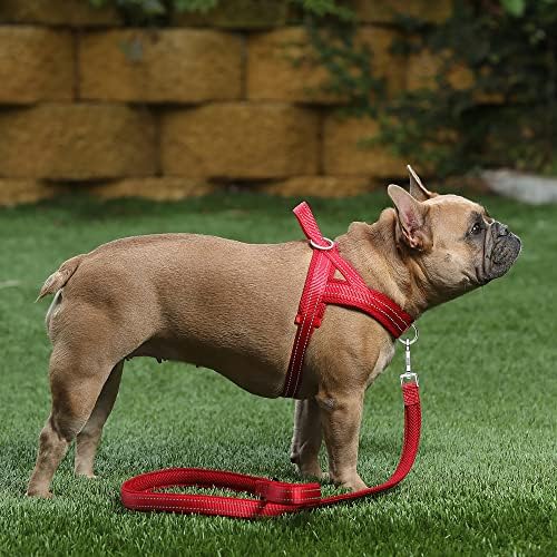 Plutus Pet No Pull Dog Harness for Medium Sized Dog, Breathable Mesh Padded - Image 5