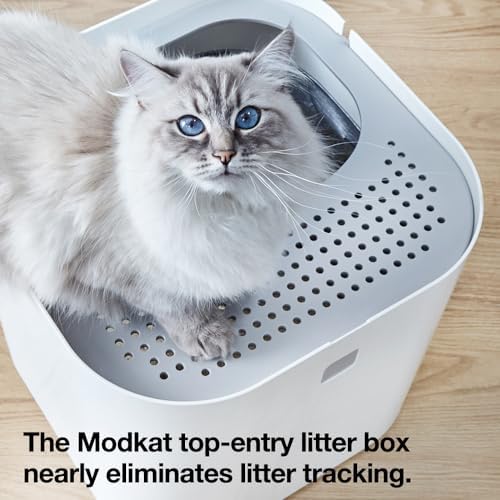 Modkat Top-Entry Cat Litter Box, Leak-Proof, Liner & Scoop - Image 2