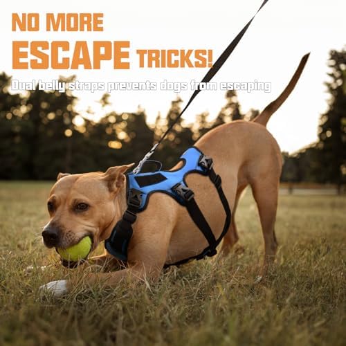AUROTH Escape Proof Dog Harness - Image 3