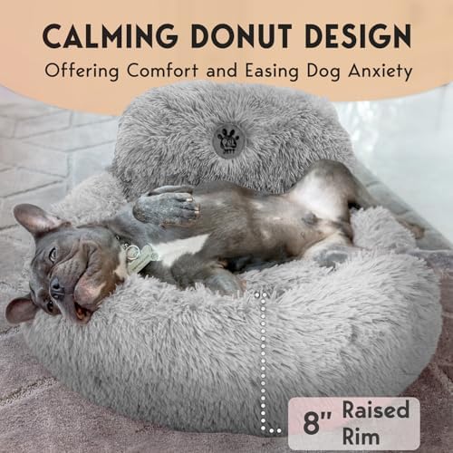 PetJett Small Dog Bed - Image 4
